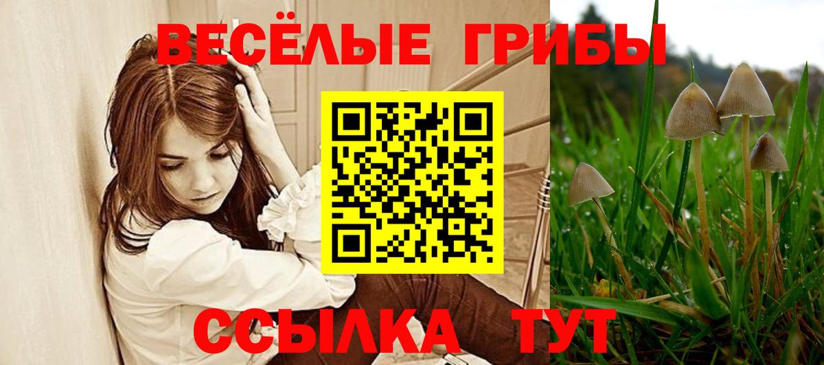 Ленинск-Кузнецкий  Галлюциногенные грибы ЛСД  Вход с VPN 