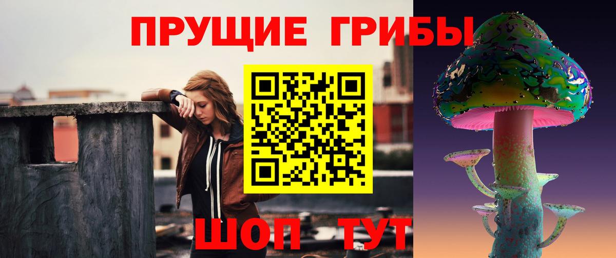 Галлюциногенные грибы GOLDEN TEACHER Ленинск-Кузнецкий